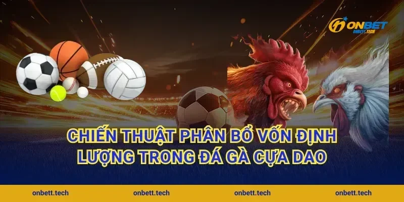 Chiến thuật phân bổ vốn định lượng trong đá gà cựa dao